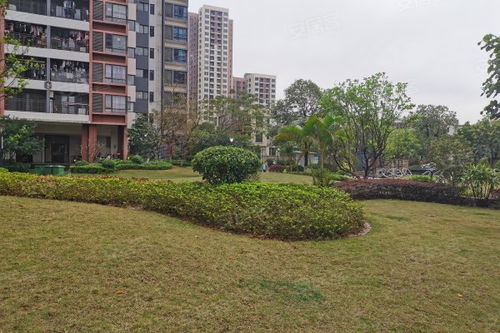 中惠松湖城深度解析 樓盤(pán)優(yōu)勢(shì)、不足與周邊中介評(píng)價(jià)指南